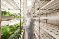 Système d'agriculture hydroponique verticale automatique intelligent avec moteur pour la culture de petites laitues