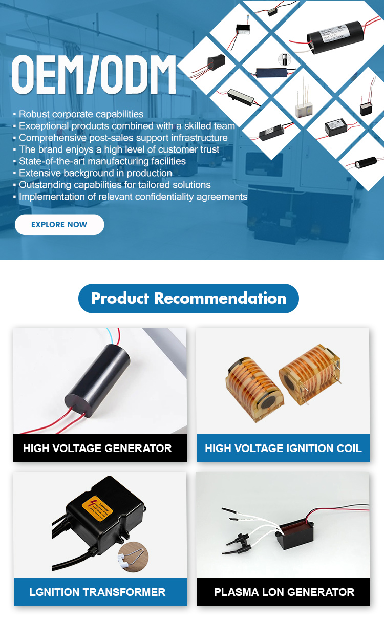 400KV High Voltage Generator Module Step-up High Voltage Pulse Arc Generator High Voltage Arc Generator Accessories – Buy The Best Products In The Online Store - Foto 4