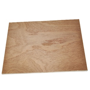 Plaques <span class=keywords><strong>de</strong></span> contreplaqué en <span class=keywords><strong>bois</strong></span> <span class=keywords><strong>de</strong></span> sapele <span class=keywords><strong>acajou</strong></span> naturel décoratif commercial <span class=keywords><strong>de</strong></span> 3 mm 4 mm - Product Image 1