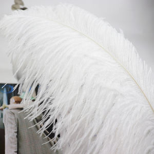 45-50 Cm Plumes d'autruche blanches teintées en blanc pour décoration de fête décorations de mariage - Product Image 5