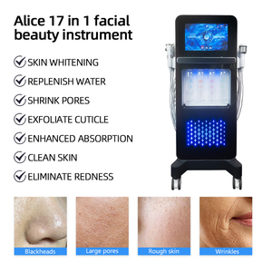 เครื่องดูแลผิวหน้า 17 in 1 แบบแนวตั้ง Hydra Dermabrasion เครื่องมือความงามสำหรับผิวหน้า Hydro Abrasive สำหรับใช้ในร้านเสริมสวยและสปา - Product Image 2
