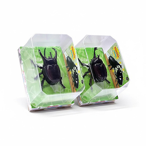 Hot bán giáo dục cảm giác Mini kéo trở lại Bọ Cánh Cứng côn trùng mô hình nhựa ABS tuyệt vời cho trẻ em lứa tuổi 5-14 unisex chaobang - Product Image 6