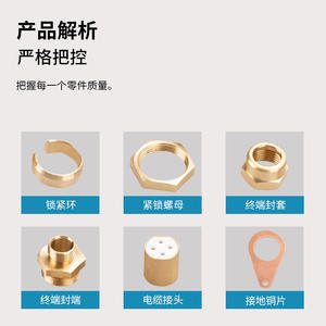 Conector de Cable Mineral BTTZ con Terminal de Tornillo de Latón 4P 220V-220KV para Cableado de 1.5-240mm - Product Image 2