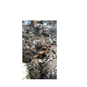 Natural Clean Cow Tail <b>Hair</b> Best Quality Shaving & <b>Hair</b> Rem and Making for <b>Brush</b> Cattle Raw Tail <b>Hair</b> Bundle - Product Image 2