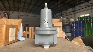 Régulateur pneumatique industriel 95H le plus rentable avec siège en acier inoxydable 316 - Product Image 6