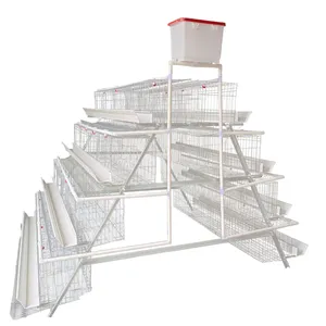 Hot Selling Agricultural Equipment Chicken Coop A Type Layer 3 Layers Farm Chicken Cage Laying Hen Cage