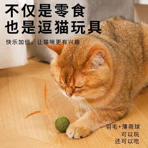 Nouveau jouet léger de décompression en plumes pour chats, pour le nettoyage des dents, à mâcher, comestible, à la catnip rafraîchissante, jouet multi-plateformes pour animaux de compagnie - Product Image 4