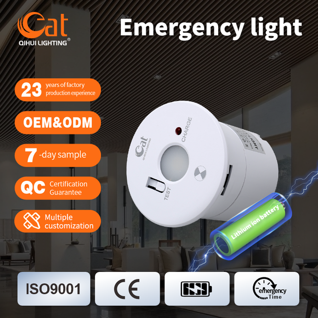 High Quality Non-maintained 3W Automatic Flush Mount Emergency Downlight LED Recessed Emergency Spot Light