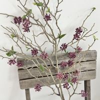 Realistich 3D gedroogd zacht aanvoelend plastic fruit, kunstbloemen, geschilderde botpijltjes techniek, hotel en homestay set ontwerp