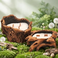 Bougie sur socle d'arbre en cire naturelle avec mèche en bois, bougie d'aromathérapie, décoration rustique forestière pour salon, chambre, salon de thé, parfum d'intérieur