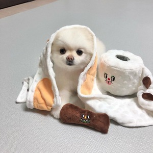 Juguete Interactivo para Perros: Cubo de Papel para Olfatear y Recoger Excrementos, Peluche Sostenible con Sonido para Mascotas - Product Image 2