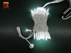 Guirlande lumineuse 3M 30 LED personnalisée avec câble en caoutchouc, étanche IP65, âme en cuivre pur, blanc chaud 2700K pour l'éclairage des contours de bâtiments - Product Image 1