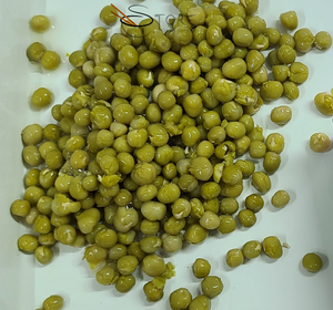 Delicioso y nutritivo alimento enlatado Halal judías verdes enlatadas 400g - Product Image 3