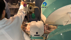 EUR VET الأكثر شعبية نظام فحص الحيوانات من النوع U للتشخيص الصحي جهاز فحص CT للحيوانات الأليفة - Product Image 5