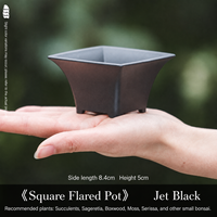 Pot de fleurs carré en résine de style chinois avec plusieurs trous de drainage, jardinière pour usage domestique pour les plantes succulentes, les cactus, les bonsaïs