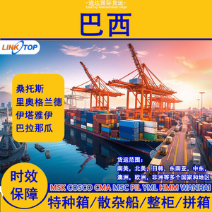 Linktop Lianda Logistics Chine vers Brésil, transport de fret LCL express, expédition port de Santos, porte à porte avec dédouanement. - Product Image 2