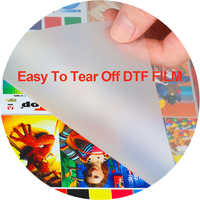 Winnerjet 30cm 33cm 60cm 60cm*100M 75U Nouvelle Tendance Film de Transfert Numérique PET DTF en Rouleau pour Application de Film de Transfert Thermique
