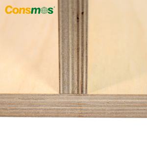 Venta al por mayor 3mm 12MM 18mm fenólico 100% <span class=keywords><strong>tablero</strong></span> de madera contrachapada de abedul blanco completo para muebles - Product Image 6