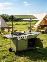 Table de cuisine pliante portable en aluminium pour camping-car, camping, extérieur, SUV, pick-up et tailgating