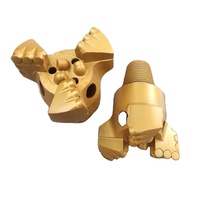 Foret PDC pour puits d'eau 165 mm 6 1/2 pouces pour le forage de formations souples à moyennement dures