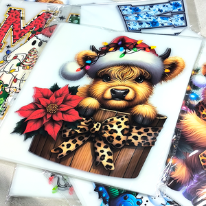 Vinyl Transfer Panas Cetak Digital DTF Custom Terlaris untuk Logo Press Setrika Pabrik, Bahan PET untuk Kaos - Product Image 4