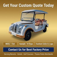 Vente en gros de voitures électriques classiques antiques personnalisées à 8 places, batterie au lithium, 30 km/h, bus touristique rétro vintage, prix d'usine, OEM ODM
