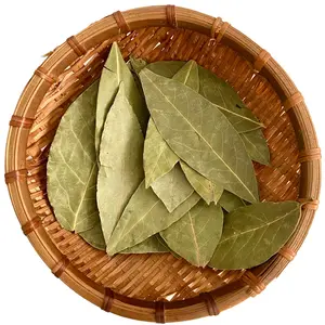 Hot selling product high quality organic bay leaves low price dried bay leaves/laurel leaf