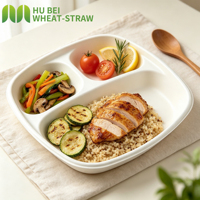Contenant alimentaire rectangulaire jetable écologique en bagasse, à 3 compartiments, compatible micro-ondes, anti-fuite et compostable pour plats à emporter