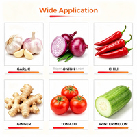 Nouvel arrivage : Hachoir à ail en acier inoxydable, broyeur d'ail et de gingembre, machine à hacher les légumes, vente chaude