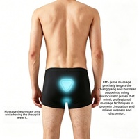 Sous-vêtements de massage EMS portables pour hommes, appareil de soin de la prostate portable et télécommande sans fil pour la circulation et le soulagement