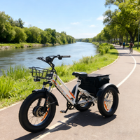 Tricycle électrique à pneus larges EZREAL BAFANG 750W, vélo électrique à 3 roues 48V, tricycle électrique à 3 roues stable pour la livraison et les utilités