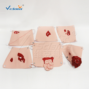 Módulo Avanzado de Evaluación de Traumas para Entrenamiento Médico de Emergencia con Múltiples Sitios de Heridas - Product Image 6