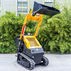 Minicargadora Ultraestrecha de 770 mm de Fábrica: Adaptadora para Martillo Rompedor y Pinza de Jardín Pequeña - Product Image 3