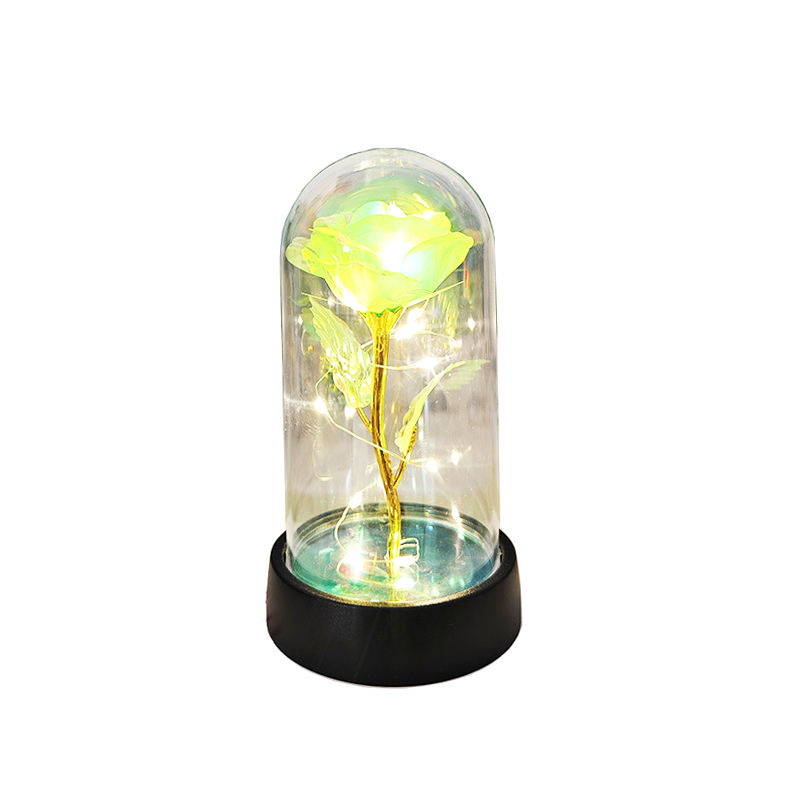 Fleur verte + lumière blanche chaude