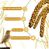 Tiges de millet jaune rouge pour alimentation des oiseaux, meilleures ventes de graines d'alimentation pour oiseaux en gros de qualité supérieure, millet rouge jaune noir Broomcorn, 1LB