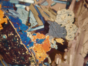 BestScope BS-5062B(LED) Système <span class=keywords><strong>optique</strong></span> infini WF10X/22mm <span class=keywords><strong>Microscope</strong></span> binoculaire polarisant à <span class=keywords><strong>lumière</strong></span> <span class=keywords><strong>transmise</strong></span> pour l'université - Product Image 4