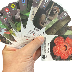 Carte da gioco con motivo personalizzato-popolari carte da gioco in Co-branding IP - Product Image 4