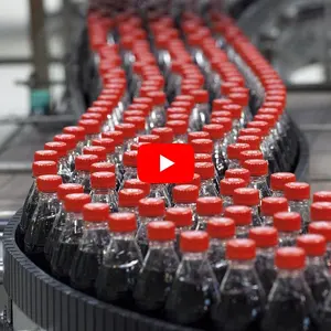 Línea de producción de embotellado de refrescos carbonatados de botellas de PET, máquina taponadora de llenado de bebidas energéticas con agua gaseosa