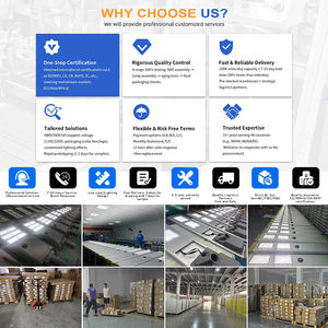 Panneau de culture LED 110V 220V 3000K 5000K 660NM 730NM 395NM <span class=keywords><strong>UV</strong></span> IR Spectre complet Lumière de culture quantique 150W - Product Image 6