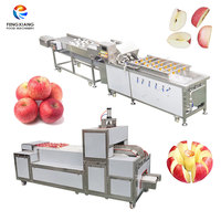 Industriële appelverwerkingsmachine, appelwas- en ontpitter-snijmachine voor conservenfabrieken