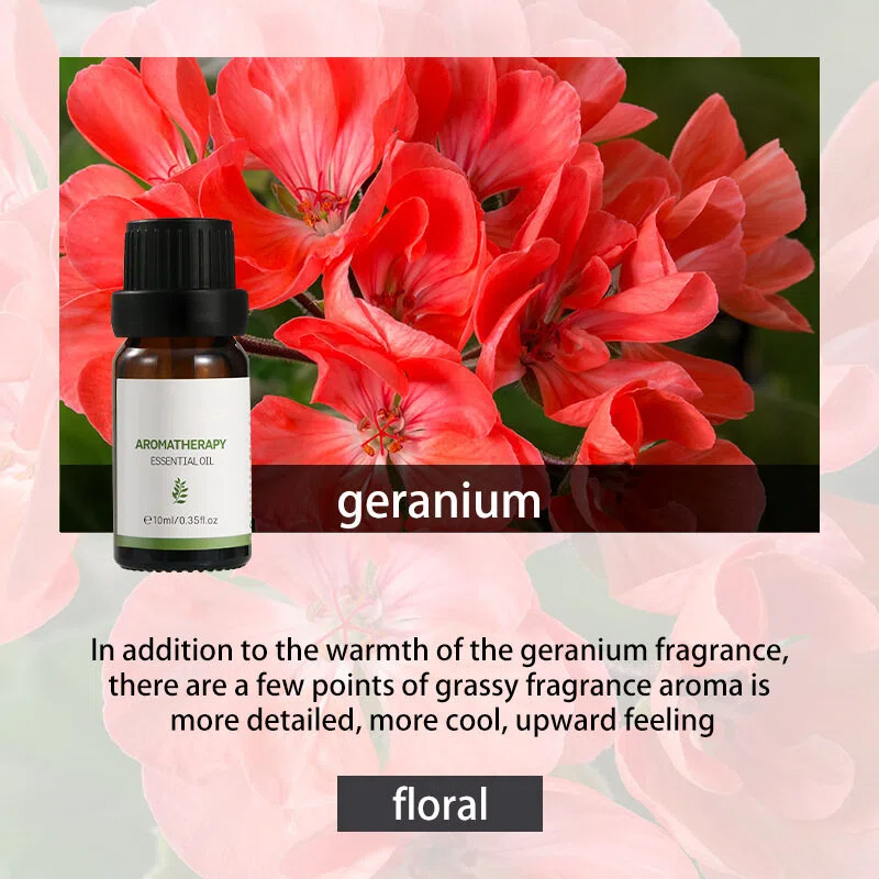 Géranium