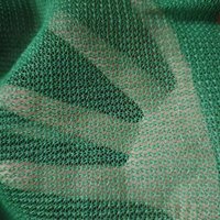 Filet de sécurité de construction vert de protection contre les chutes d'échafaudage de débris de HDPE