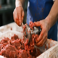 Broyeur à viande en acier inoxydable de qualité export pour le marché mondial – Équipement de boucherie