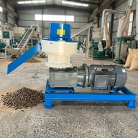 Granulateur de bois CE 100-500 kg/h pour granulés de sciure de bois et de biomasse, idéal pour le chauffage agricole