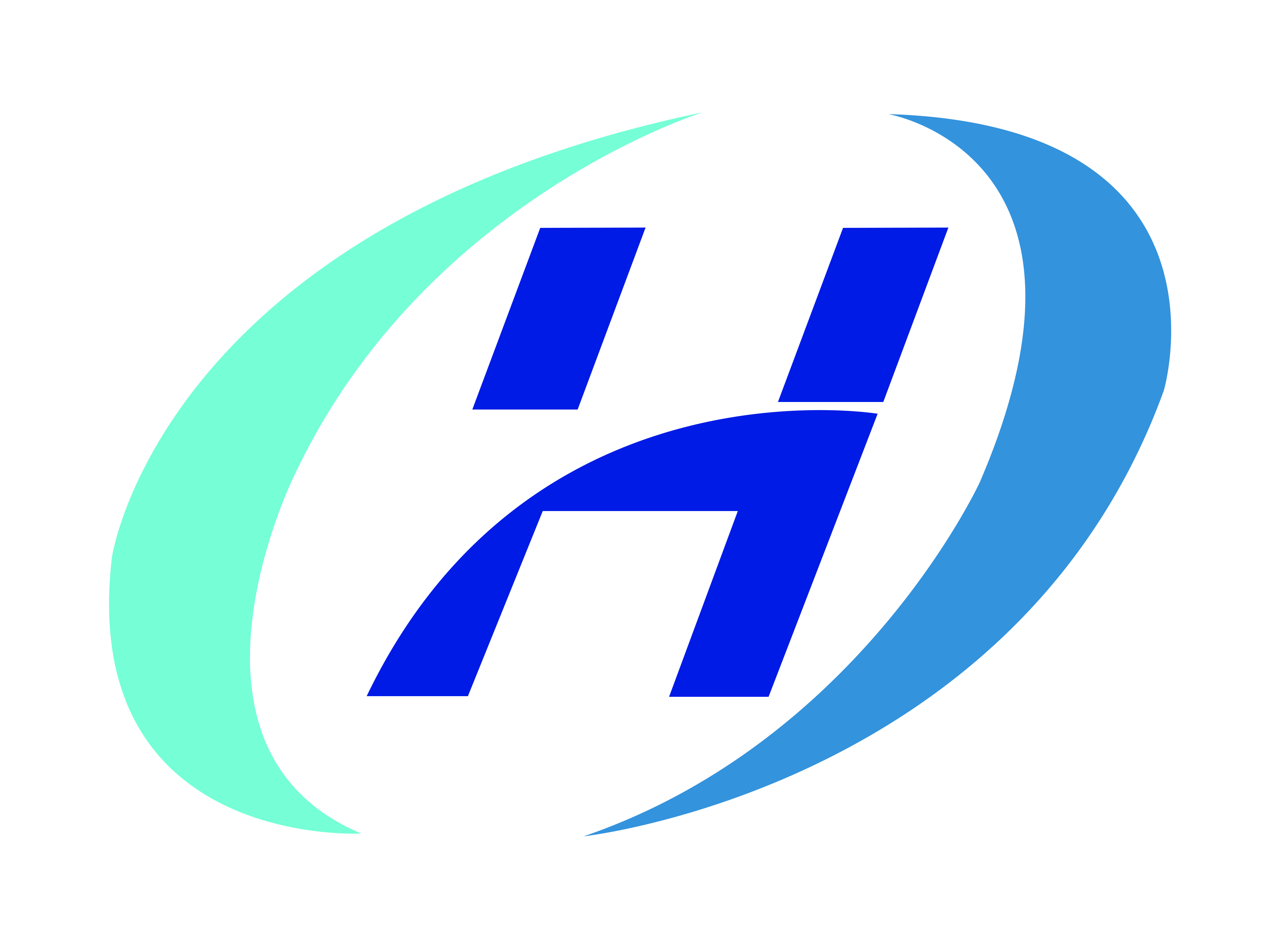 Shandong Huiteng Co., Ltd. logo