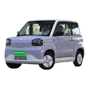 Zhidou mobil elektrik Mini edisi Muguang pelangi, mobil Mini 3 pintu 4 kursi isi daya Cepat 2024