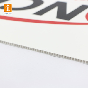 Coreflute PP per il segno della campagna Coroplast 4x8 stampabile pannello personalizzato nucleo flauto foglio di plastica ondulato - Product Image 6