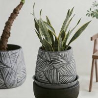 Jardinière Vintage Simple et Créative en Fibre de Verre, Design Minimaliste et Moderne pour Salon, Maison, Intérieur, Extérieur, Plantes Vertes, Jardin Unique