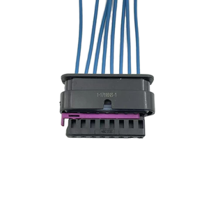 8 cách nữ 1-1719393-1 xe ACC Cruise mô-đun cắm 8p Kết nối cho Volkswagen - Product Image 3