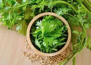 हलाल फैक्ट्री की आपूर्ति में धनिया पाउडर <span class=keywords><strong>100</strong></span>% धनिया पाउडर - Product Image 3